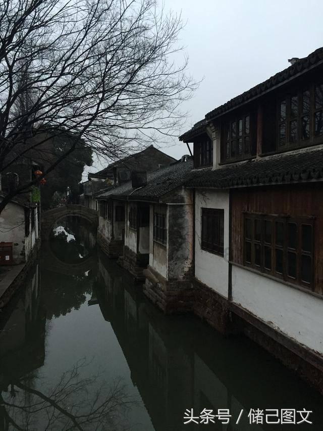 萌宠大连接